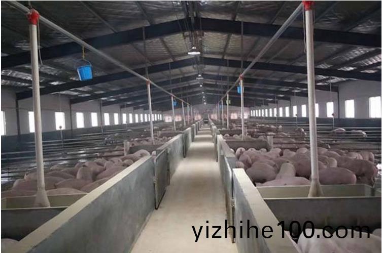 養(yang)殖行業(ye)